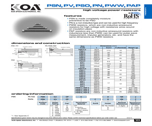 PN0.5CPT510J.pdf