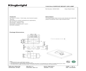 AA3021SGS.pdf