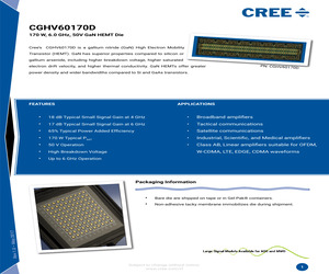 CGHV60170D-GP4.pdf