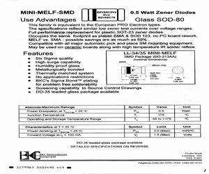 BZV55B10.pdf