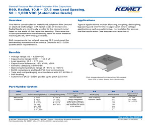 R60PR4100AA50K.pdf