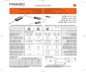 CTS13B106K025.pdf