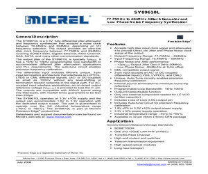 SY89610LMG.pdf