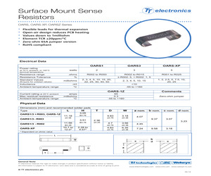 OARS1R030FLF.pdf