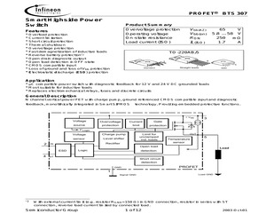 BTS307 E3043.pdf