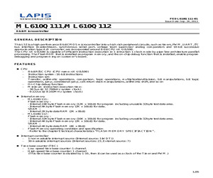 ML610Q111 REFERENCE BOARD.pdf