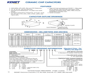 C1206C102J1RACTM.pdf