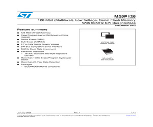 M25P128-VME6TG.pdf