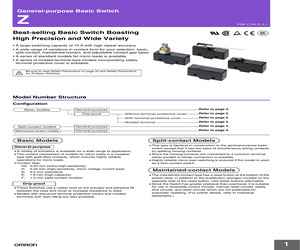 Z-15GW2255-C.pdf