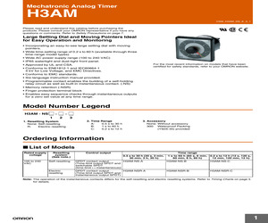 H3AM-NS-A-300 AC100-240.pdf
