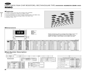 RMC1/16S-25R5FTH.pdf