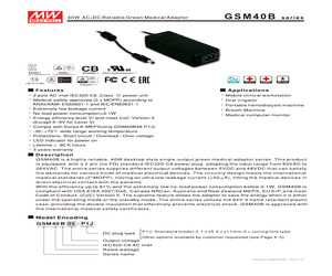 GSM40B15-P1J.pdf