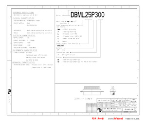 DCM37P300.pdf