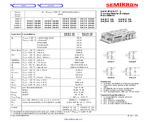 SKCH28/06.pdf