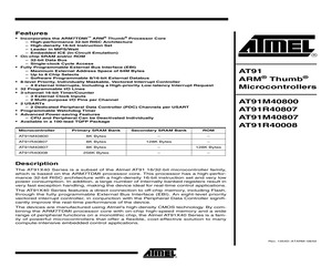 AT91M40800-33AI SL383.pdf