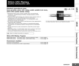 G2RV-SR700-AP AC/DC48.pdf