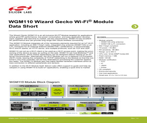 WGM110A1MV2.pdf