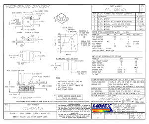 CCL-CRS10Y.pdf