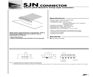 06P-SJN.pdf