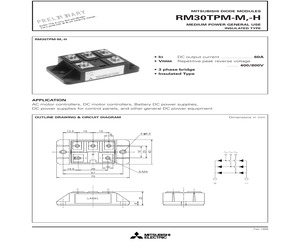 RM30TPM-H.pdf