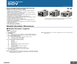 SDV-DM2 DC24.pdf