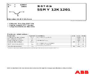 5SMY12K1201.pdf