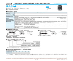 ESMM221VSN122MA35S.pdf