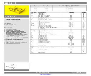 SK35NT12.pdf