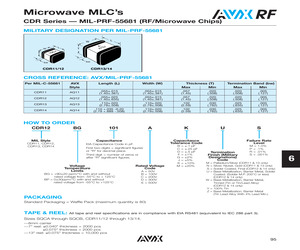 CDR13BP100CFYM.pdf