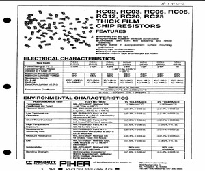 RC201002FK.pdf