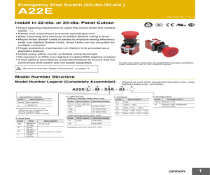 A22Z-EG22.pdf