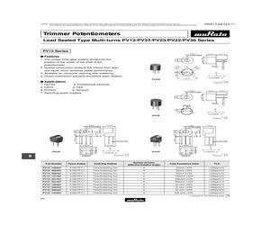 PV36W500A01B00.pdf