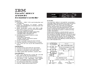 IBM25403GCX-3JC76C2.pdf