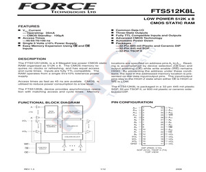 FTS512K8L-100TI.pdf