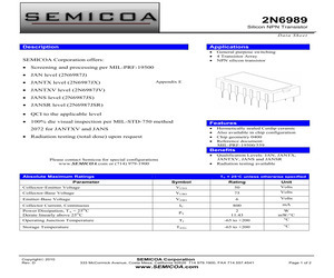 2N6989JANTXV.pdf