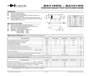 BAV21WS-T3.pdf