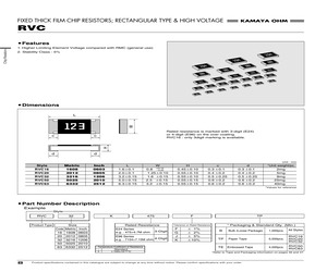 RVC16K2402GTP.pdf