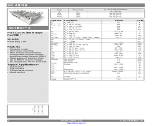 SK40DH16.pdf