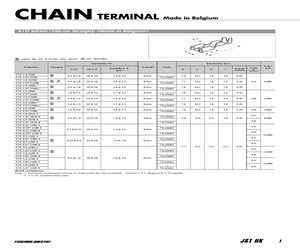 STO-2.5T-250N.pdf