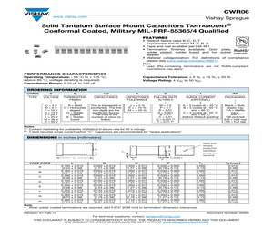 CWR06DC335JTB/FA.pdf