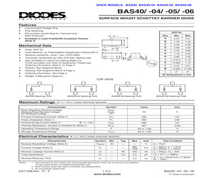 BAS40-05-13.pdf