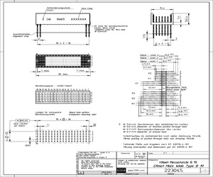 223045.pdf