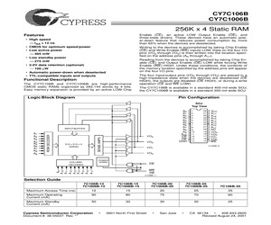 CY7C1006B-25VI.pdf