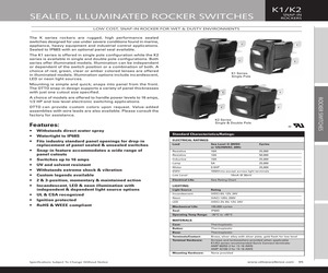 K2CASRBBB.pdf