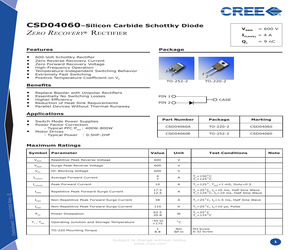 CSD04060A.pdf