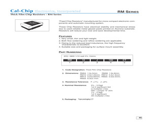 RM04F1104CT.pdf