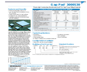 GP3000S30-0.080-02-0816.pdf
