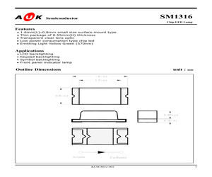 SM1316-T.pdf