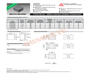 PT23102.pdf