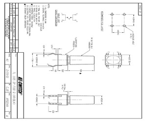 TL1105SPF100Q1RBLK.pdf